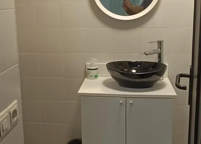 公寓 Loft Puente *